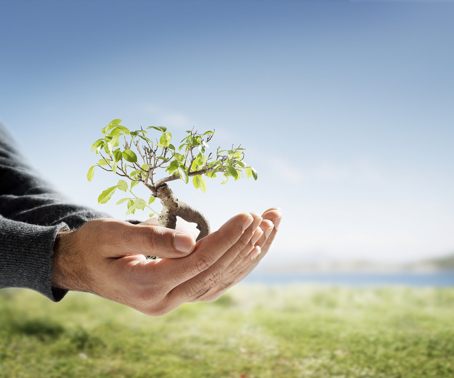iStock_000004633733Large.jpg