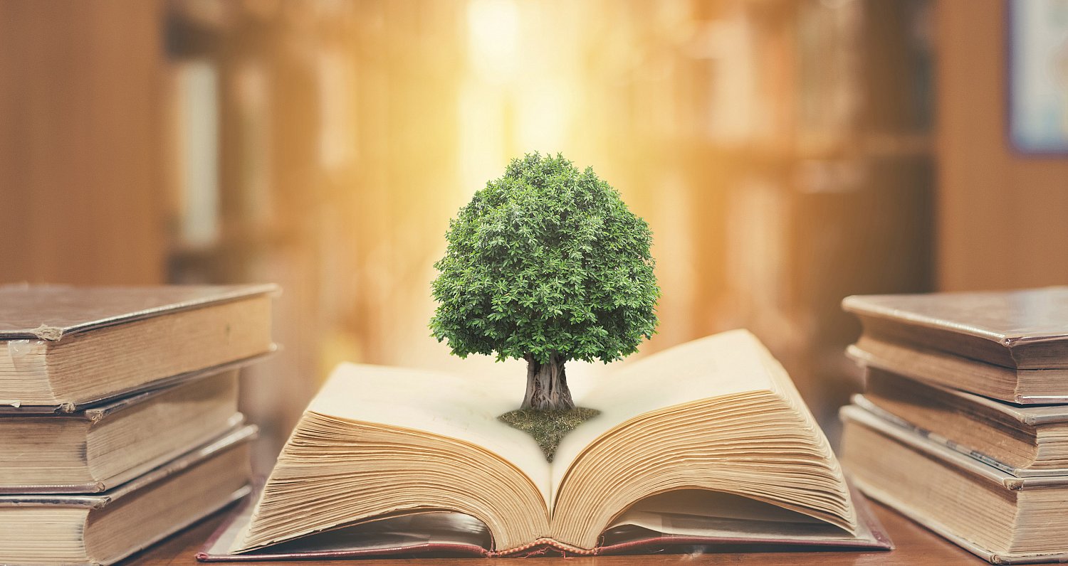 treeInBook-2.jpg