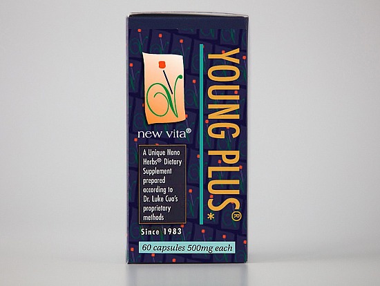 Young Plus