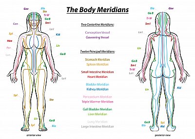 clh_bodyMeridians.jpg